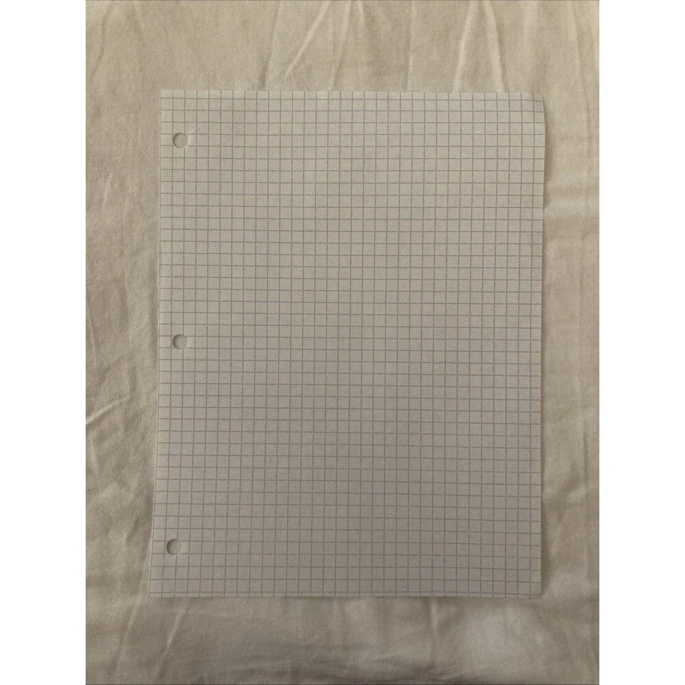 Graph Paper 8”x10.5” Grid Double Sided White | 3 Hole Punched | 1 Sheet Only